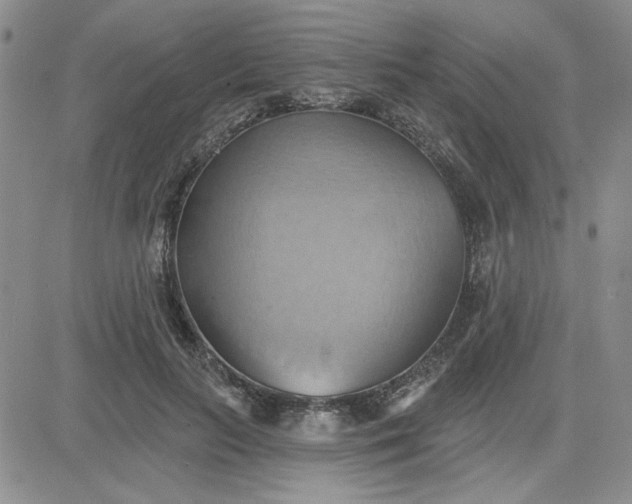 X0000081300647200701251719