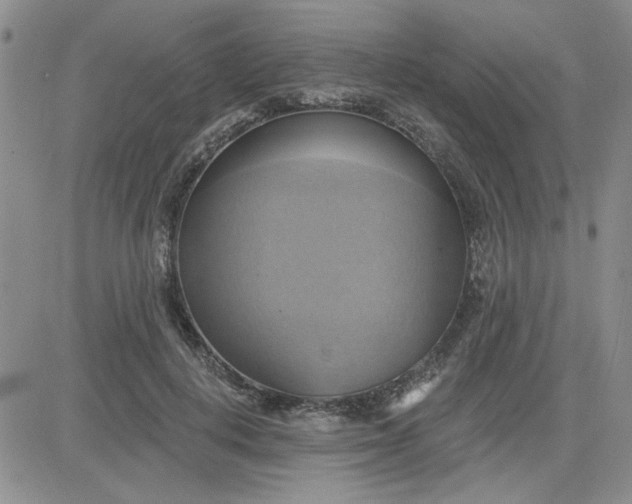 X0000081300648200701251719