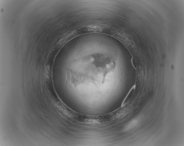 X0000081300649200701251719