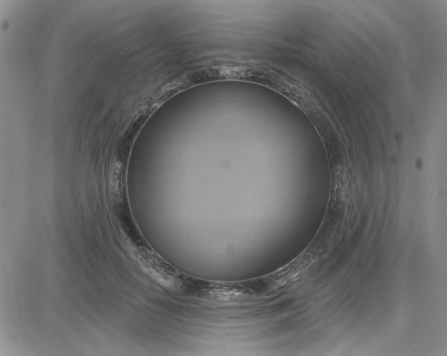 X0000081300650200701251719