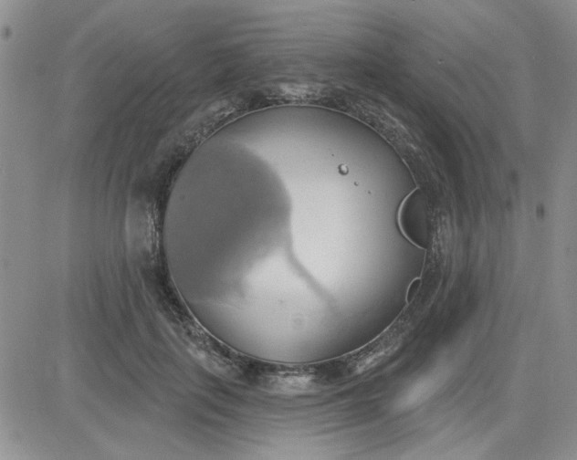 X0000081300651200701251719