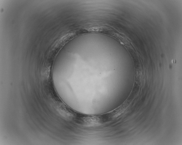 X0000081300652200701251719