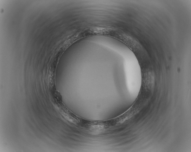 X0000081300653200701251719