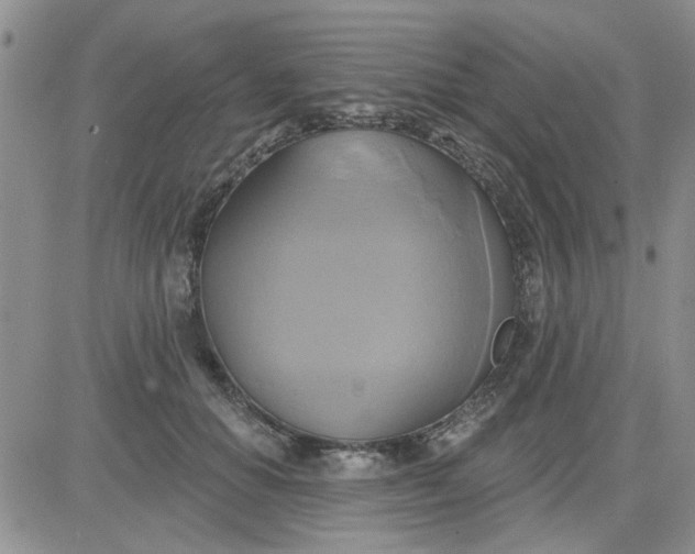 X0000081300654200701251719