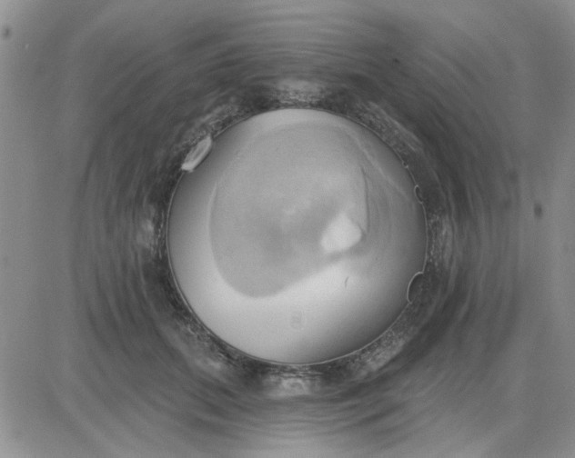 X0000081300655200701251719