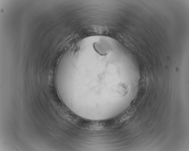 X0000081300656200701251719