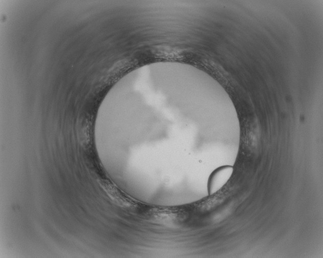 X0000081300658200701251719