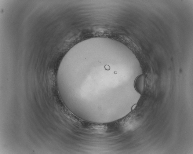 X0000081300659200701251719