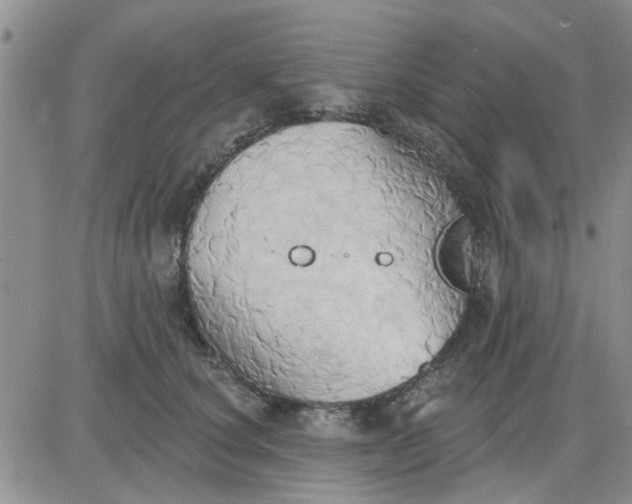 X0000081300660200701251719