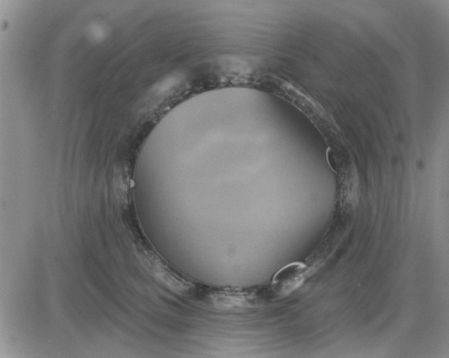 X0000081300661200701251719