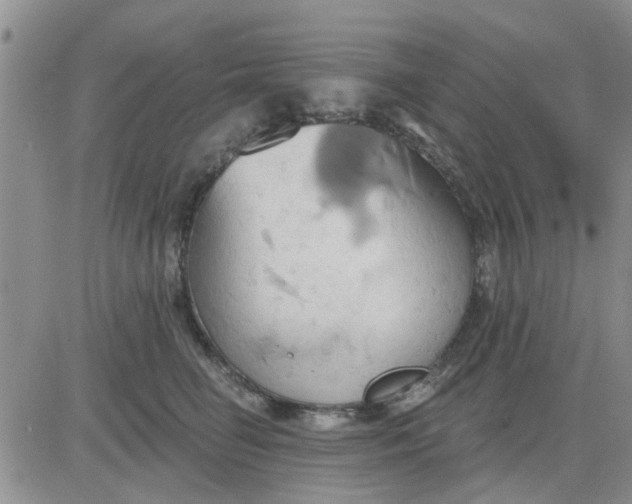 X0000081300662200701251719