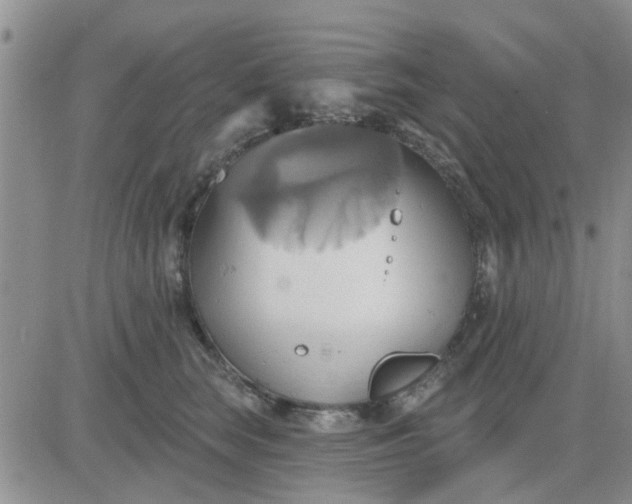 X0000081300663200701251719