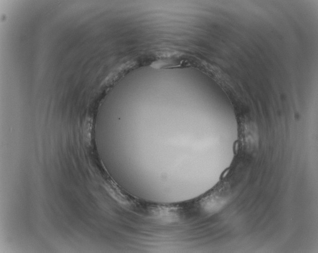 X0000081300664200701251719