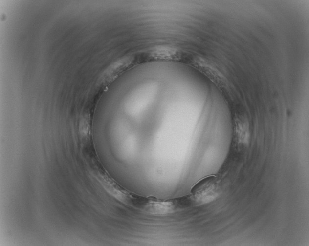 X0000081300665200701251719