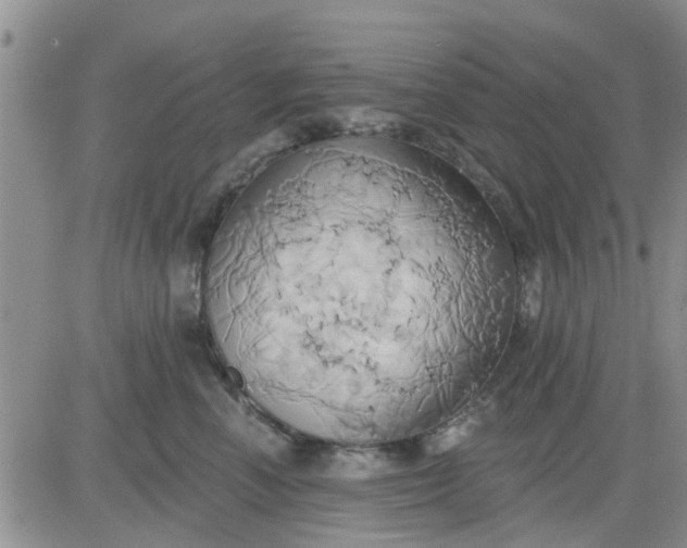 X0000081300666200701251719