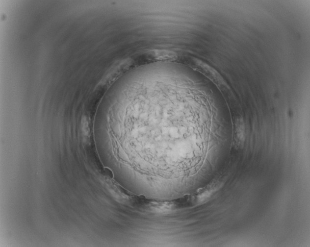 X0000081300667200701251719