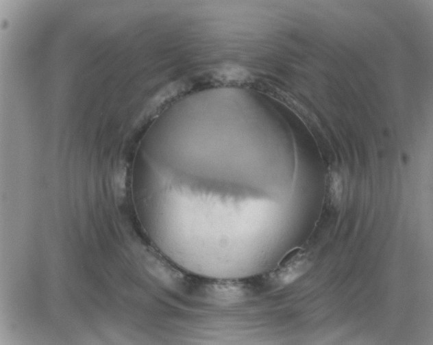 X0000081300668200701251719