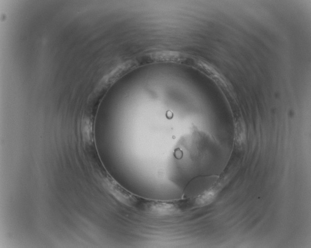 X0000081300669200701251719