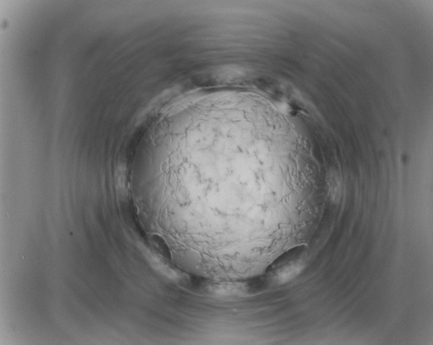 X0000081300670200701251719