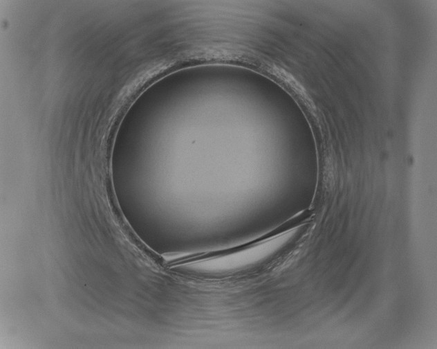 X0000081300673200701251719