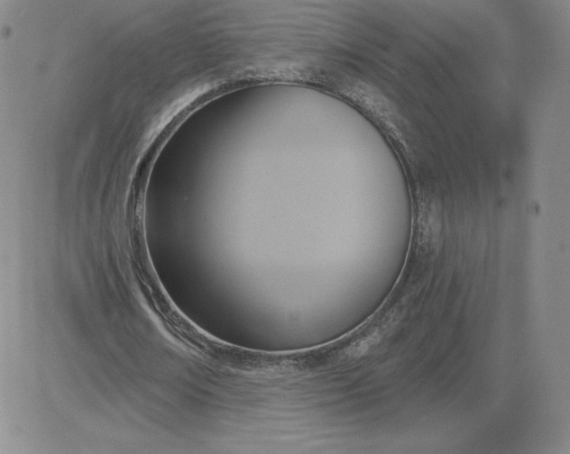 X0000081300674200701251719