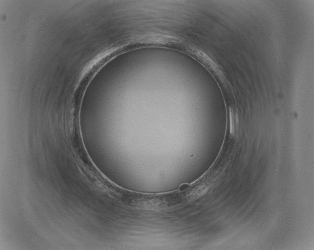 X0000081300675200701251719