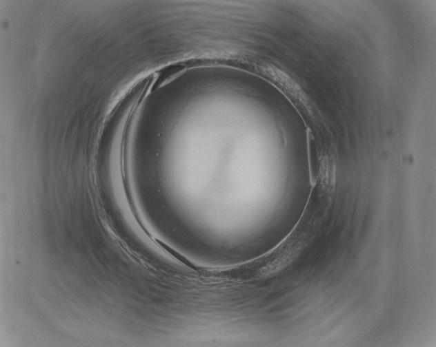 X0000081300676200701251718