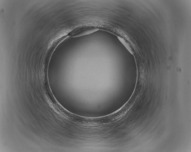 X0000081300677200701251718