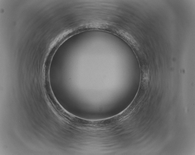 X0000081300678200701251718