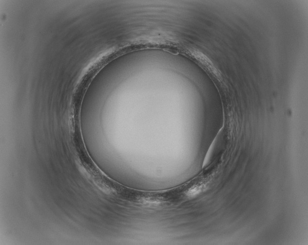 X0000081300680200701251718