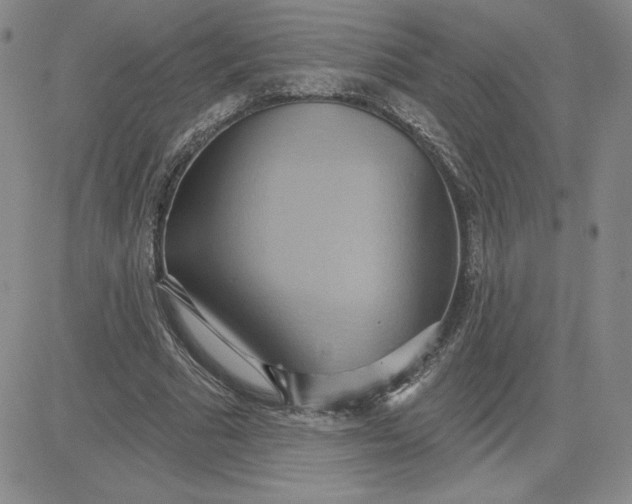 X0000081300681200701251718