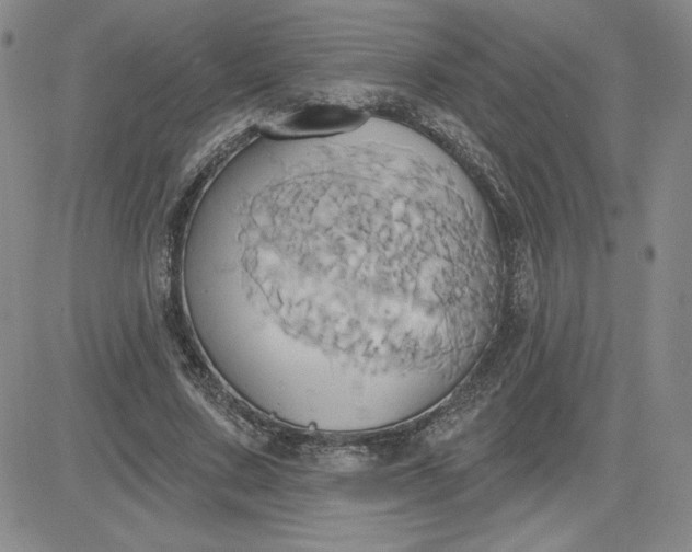 X0000081300683200701251718