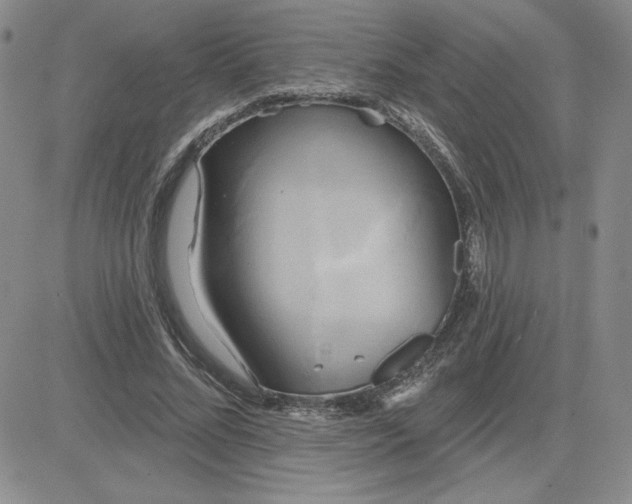 X0000081300684200701251718