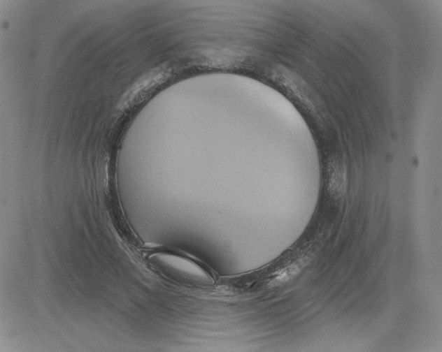 X0000081300685200701251718