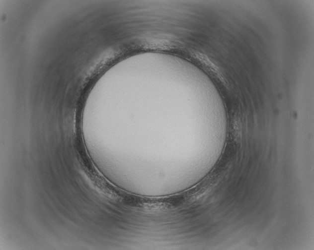 X0000081300686200701251718