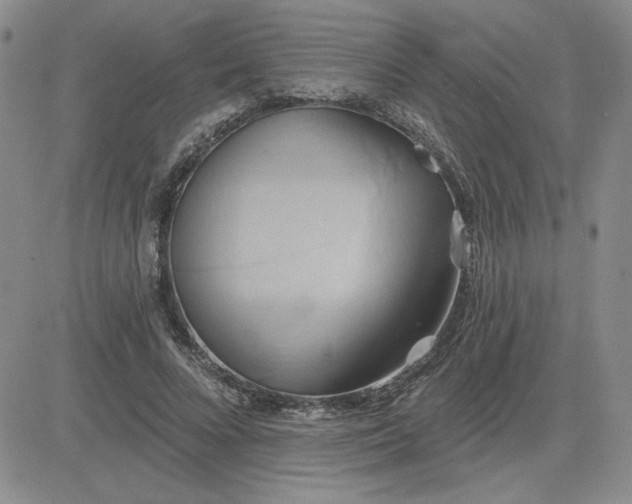 X0000081300688200701251718