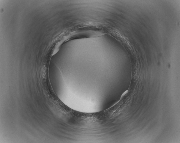 X0000081300689200701251718