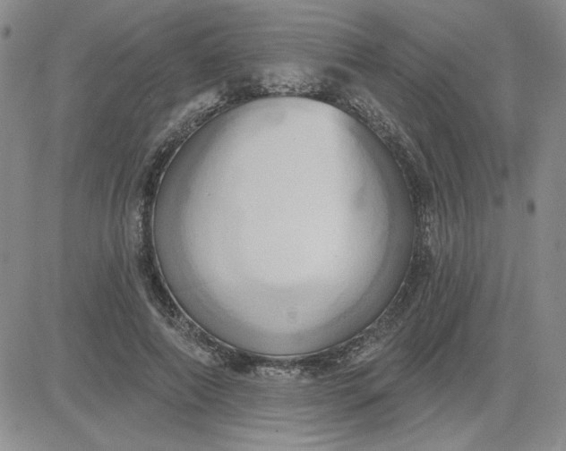 X0000081300690200701251718