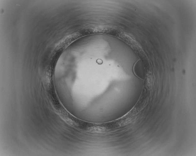 X0000081300691200701251718