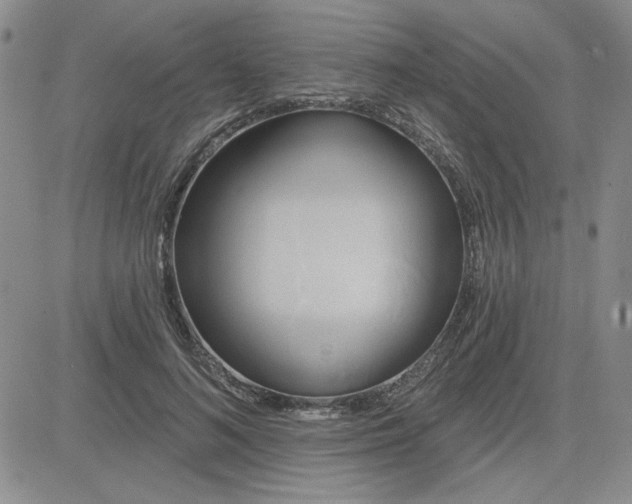 X0000081300692200701251718