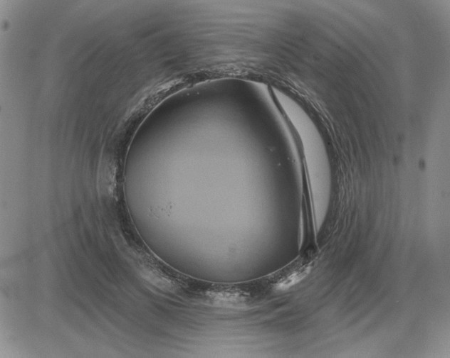 X0000081300693200701251718