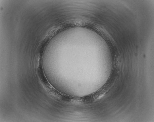 X0000081300694200701251718