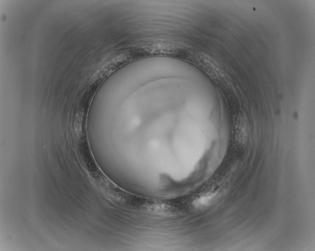 X0000081300695200701251718