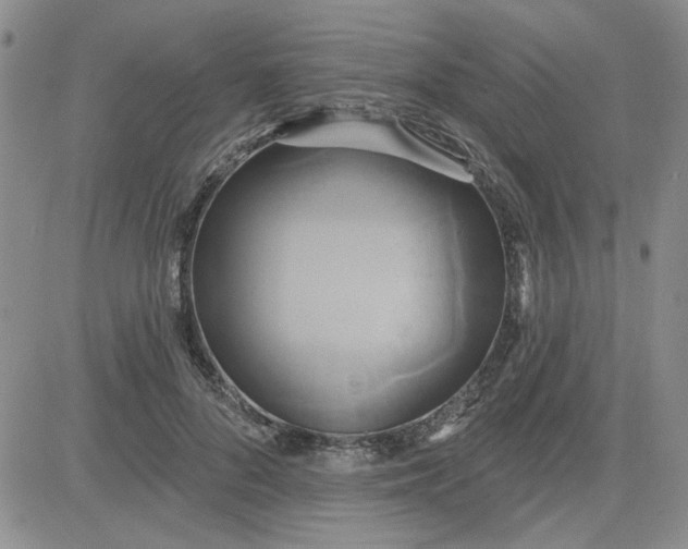 X0000081300696200701251718