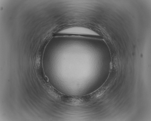 X0000081300697200701251718