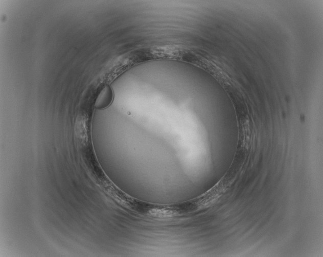 X0000081300699200701251718