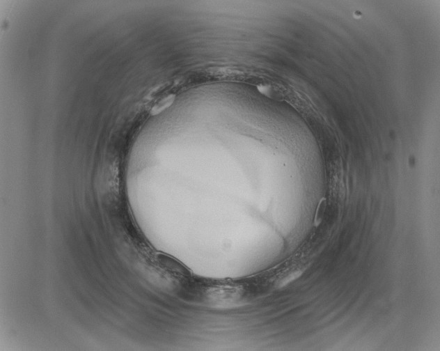 X0000081300700200701251718