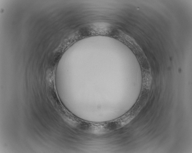 X0000081300701200701251718