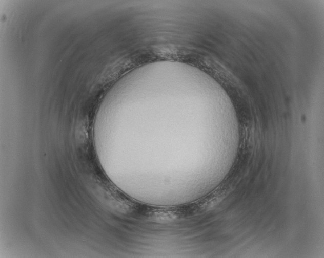 X0000081300702200701251718