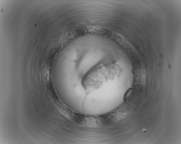 X0000081300703200701251718